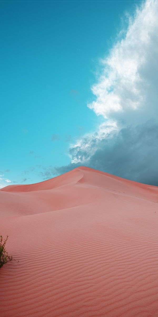 Desert wallpaper for iphone 14 10