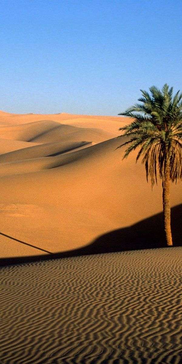 Desert wallpaper for iphone 14 14