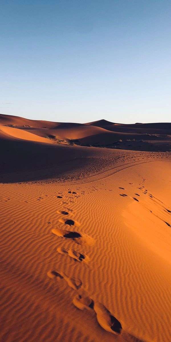 Desert wallpaper for iphone 14 3