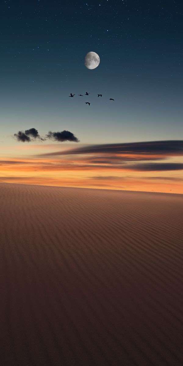 Desert wallpaper for iphone 14 4