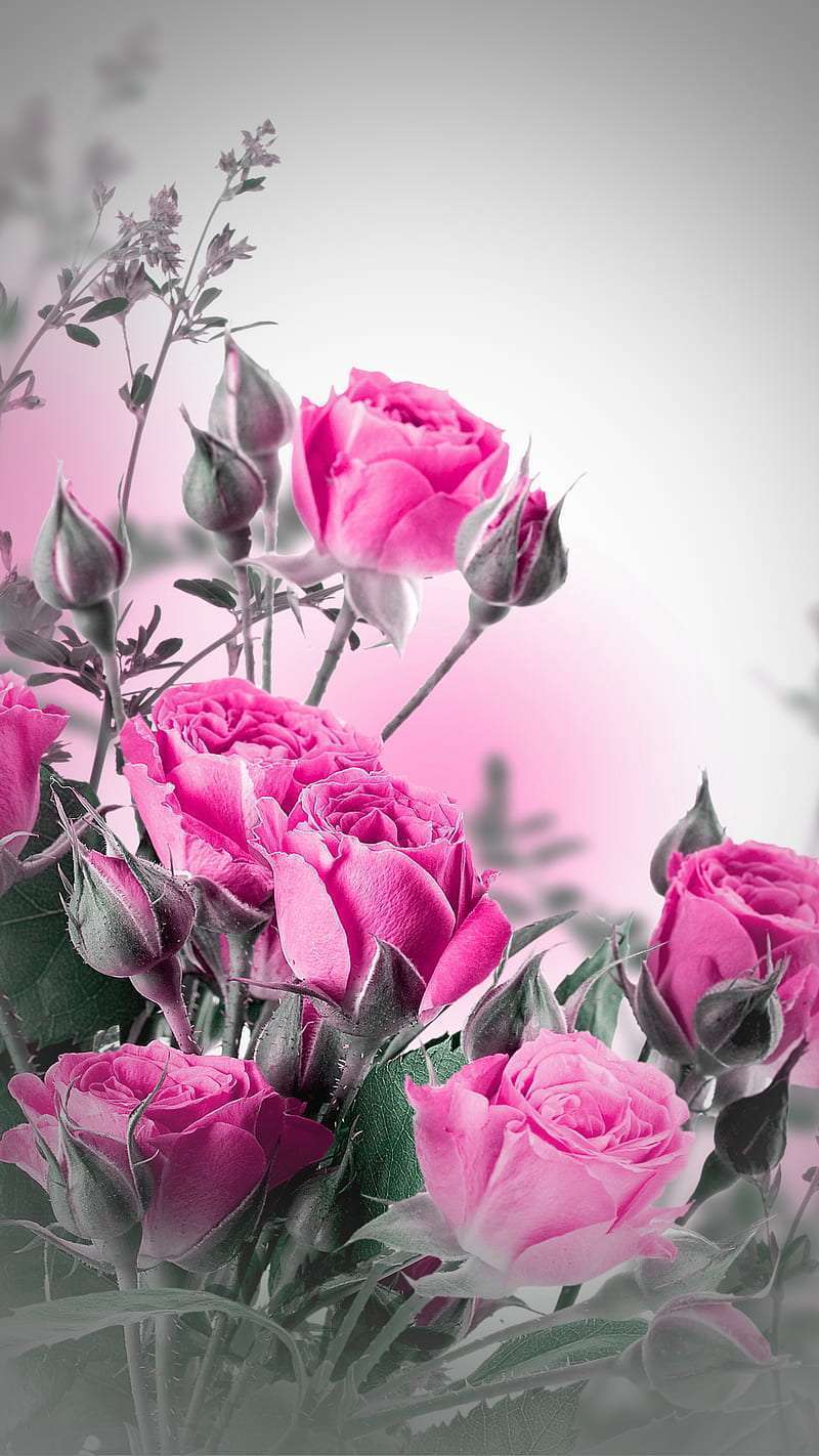 Floral wallpaper for iphone 14 7