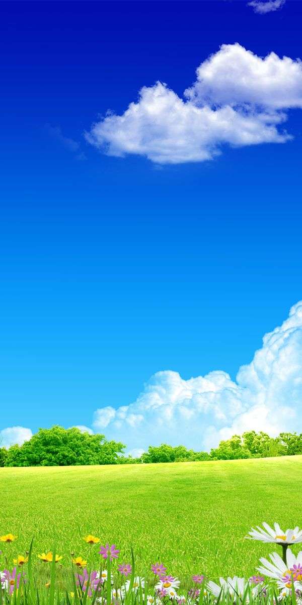 Grass wallpaper for iphone 14 5