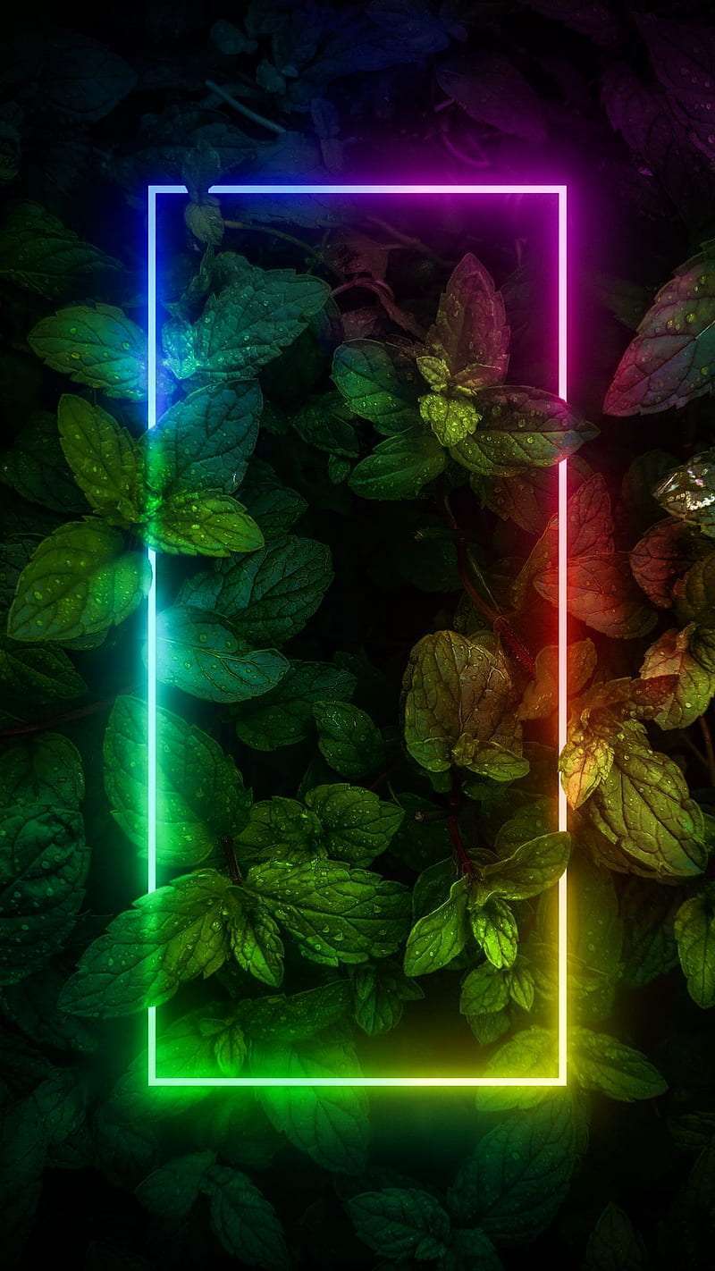 Neon wallpaper for iphone 14 7