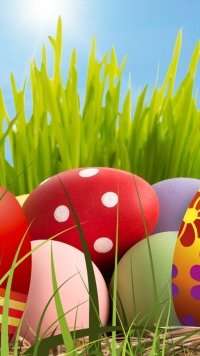 iphone 14 egg wallpaper 9